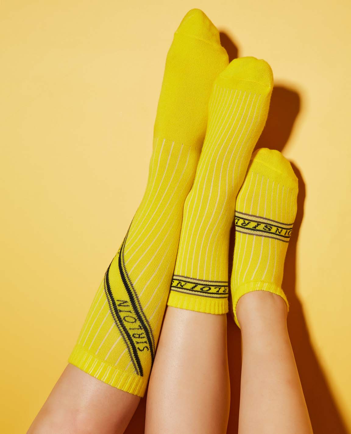 VIO-NET-VIONNET